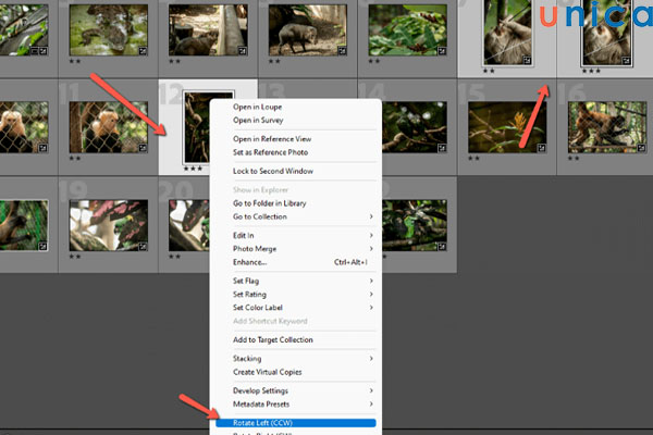 Xoay nhiều ảnh cùng lúc
