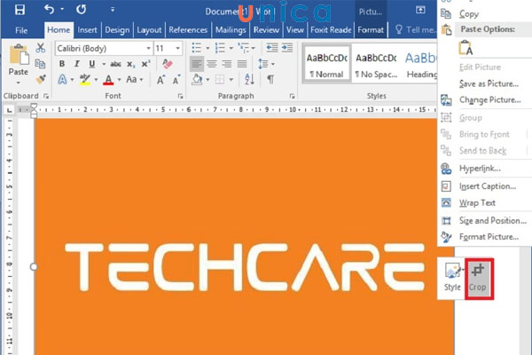 Chọn Crop để cắt ảnh