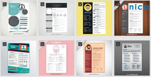 Cách bố trí các trường thông tin rõ ràng, rành mạch