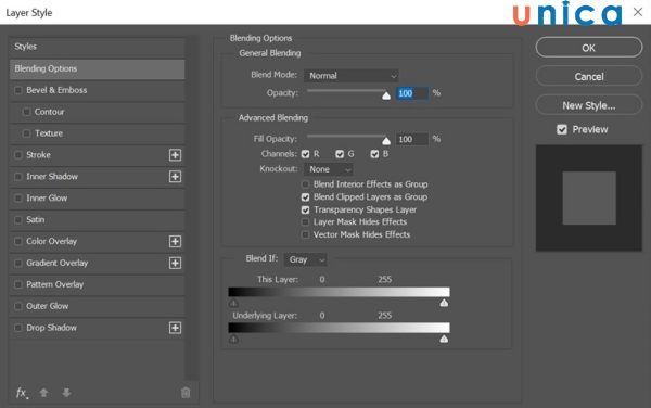 Điều chỉnh hiệu ứng ở Layer Style
