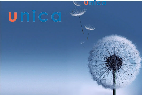 Nhấn enter để đóng logo