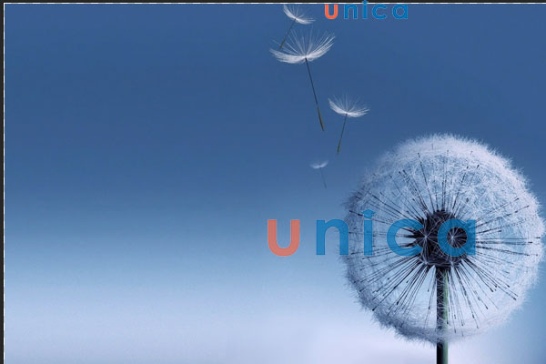 Làm mờ logo trên ảnh tại vị trí bạn muốn