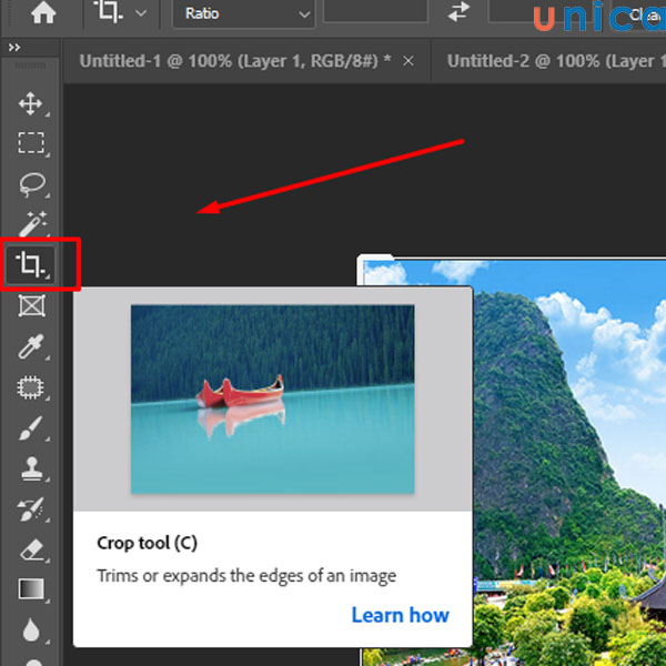 Lựa chọn công cụ Crop Tool