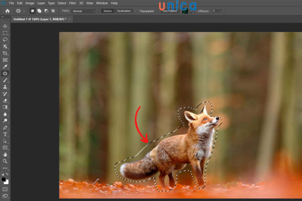Lựa chọn vùng muốn xoá