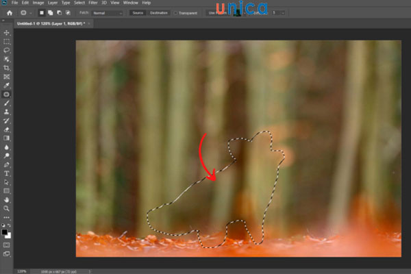 Kết quả hoàn thành