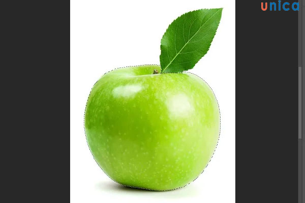 Khoanh vùng đối tượng muốn đổi màu