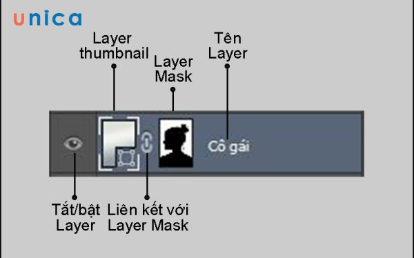 Các bộ phận của layer