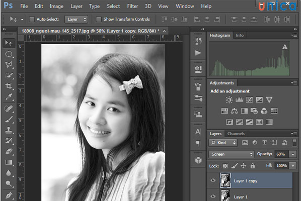 Thao tác Ctrl + C và Ctrl + V để copy layer