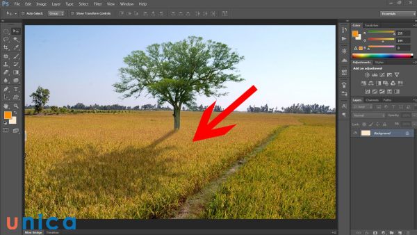 Kết quả đổ bóng trong Drop Shadow