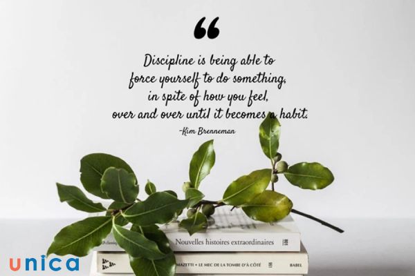 Chọn hình ảnh đẹp để tạo quote