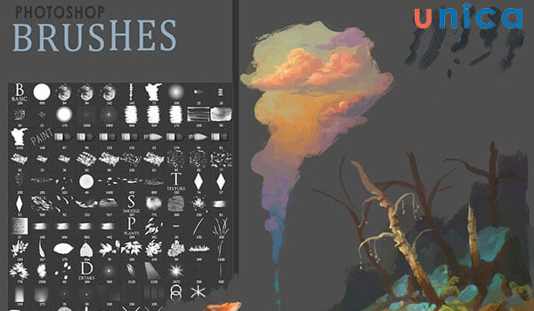 Brush Photoshop từ QBrushes được nhiều người tin dùng