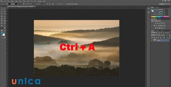 Chọn toàn bộ ảnh