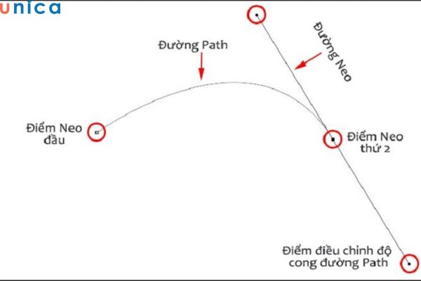 tao-diem-neo-va-duong-path.jpg