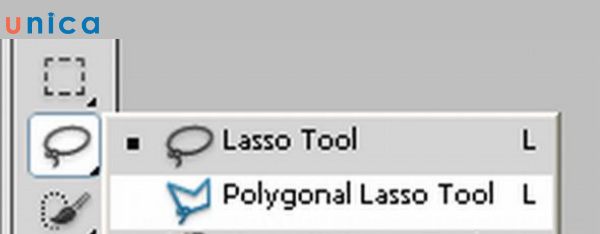 Polygonal-Lasso-Tool.jpg
