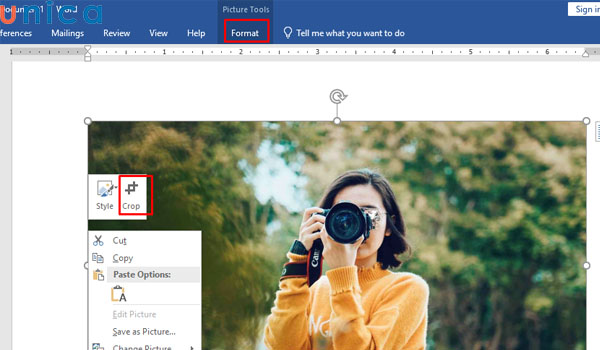 Cắt ảnh trong word