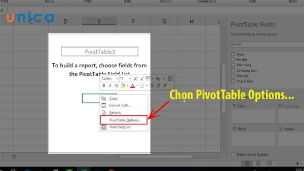 chon-PivotTable-Options.jpg