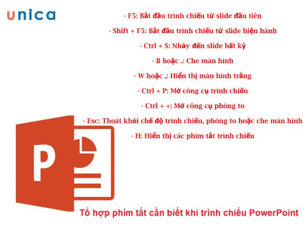 to-hop-phim-trinh-chieu.jpg