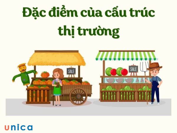 dac-diem-cau-truc-cua-thi-truong.jpg