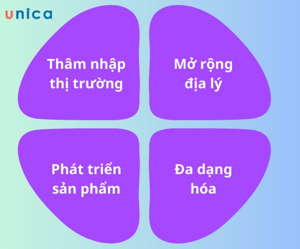 chon-chien-luoc-phat-trien-thi-truong.jpg