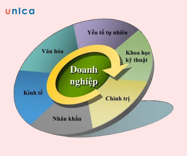 Môi trường kinh doanh là gì? Vai trò và những đặc điểm cơ bản