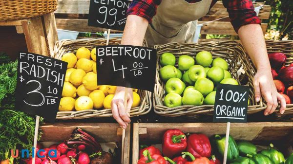 Mở cửa hàng cung cấp thực phẩm sạch.