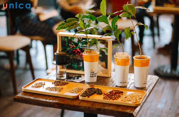 Chiến lược tập trung về sản phẩm