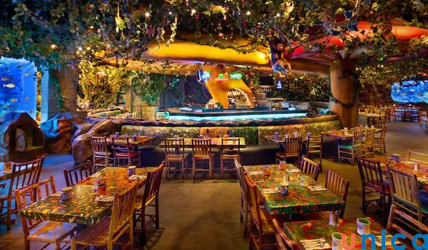 Quán cafe Rainforest ở Florida, Mỹ