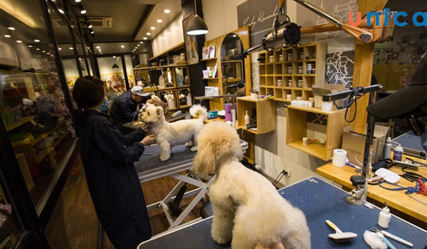 Lựa chọn hình thức kinh doanh