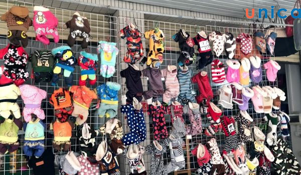 Concept kinh doanh phụ kiện và quần áo cho thú cưng