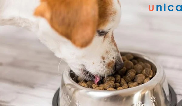 Kinh doanh thức ăn