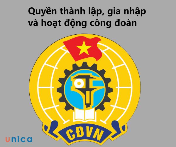 quyen-thanh-lap-gia-nhap-va-hoat-dong-cong-doan.jpg