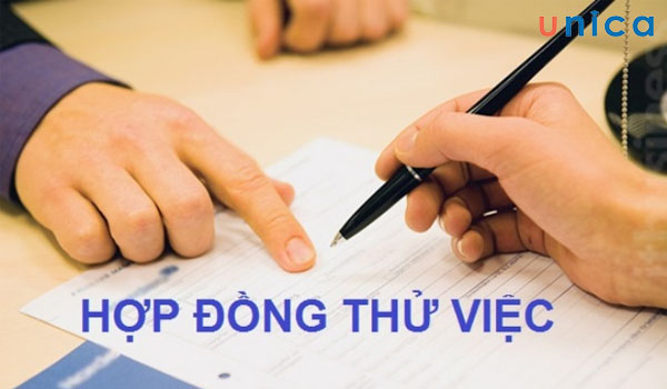 hop-dong-thu-viec-la-gi.jpg