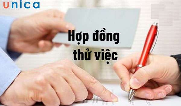 khong-bat-buoc-phai-ki-hop-dong-thu-viec.jpg