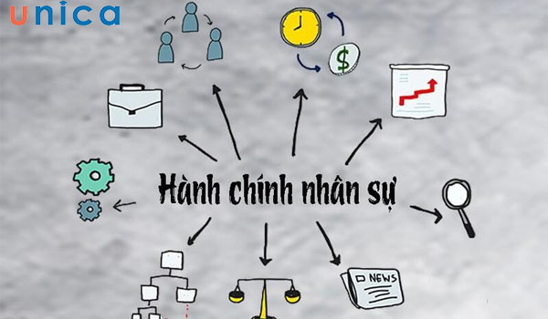 cong-viec-hanh-chinh-nhan-su-phai-dam-nhiem.jpg
