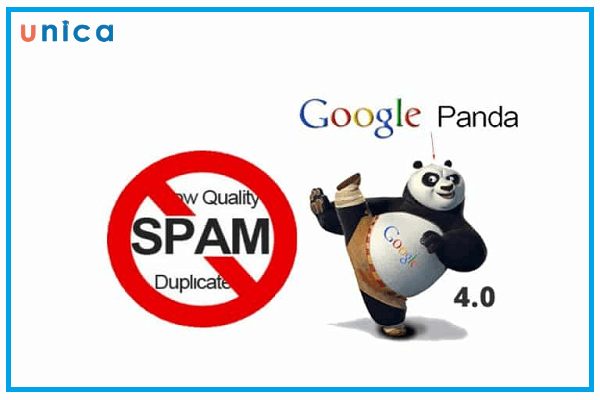 Google-Panda.jpg