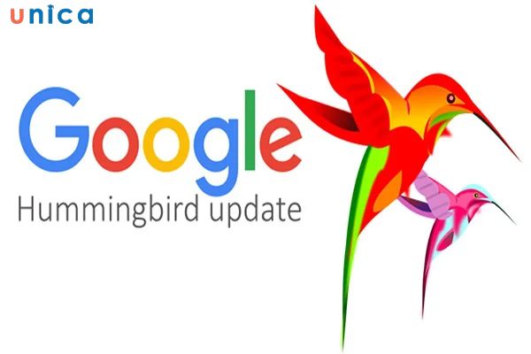 Google-Hummingbird.jpg