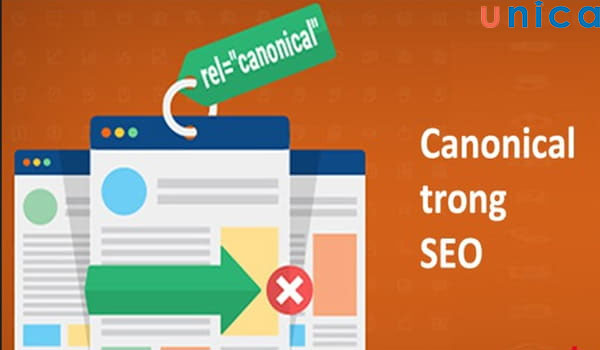 the-canonical-trong-seo.jpg