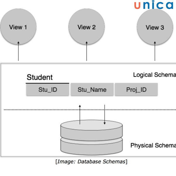 Schema-database-la-gi.jpg