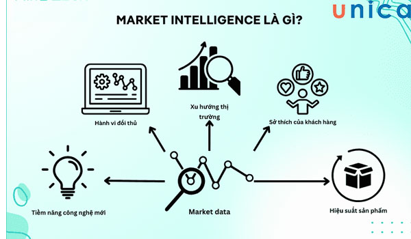 vi-tri-Consumer-Market-Intelligence.jpg