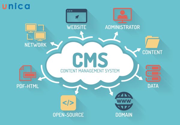 Content-Management-Systems.jpg