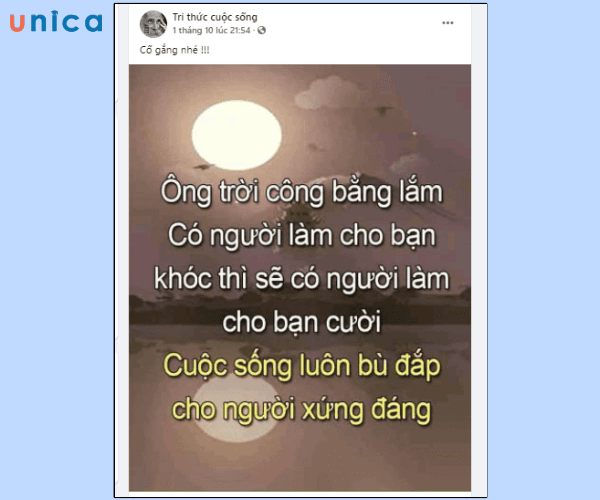 Mẫu content triết lý