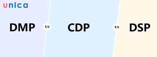 khac-biet-giua-DMP-CDP-DSP-dua-tren-loai-du-lieu.jpg