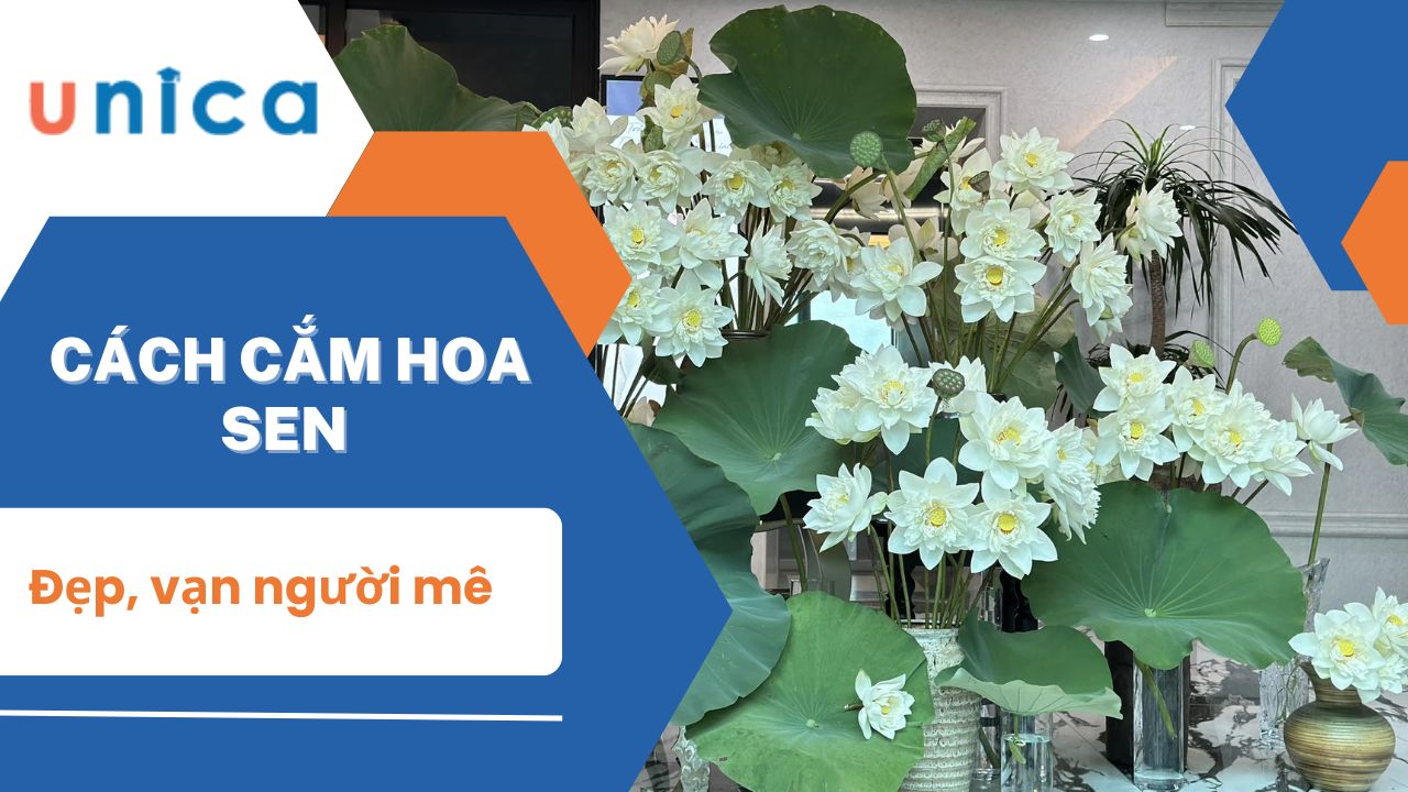 Cách cắm hoa sen cực đẹp tại nhà làm vạn người mê