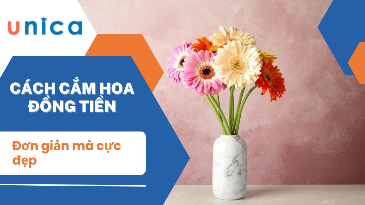 Hướng dẫn cách cắm hoa đồng tiền đơn giản mà cực đẹp