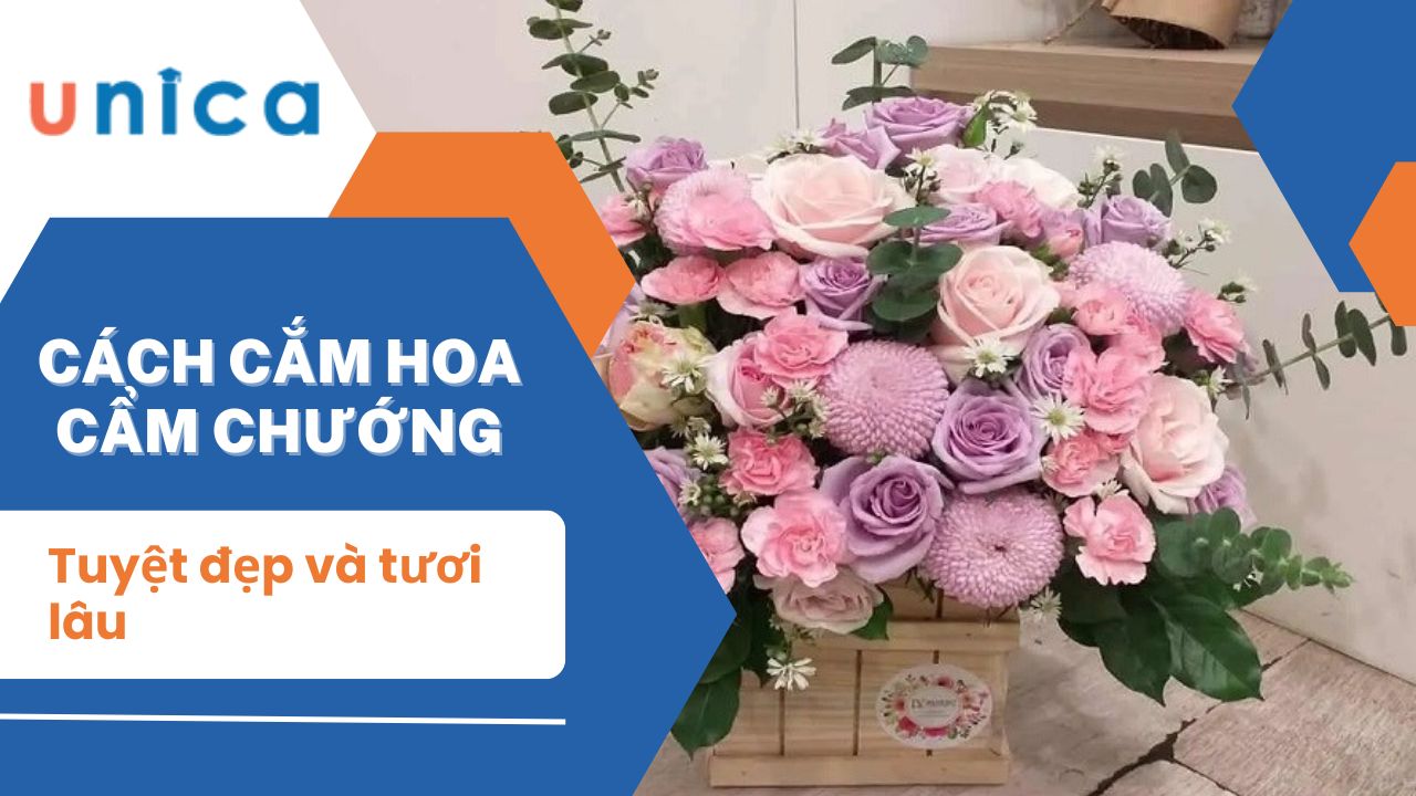 Hướng dẫn cách cắm hoa cẩm chướng tuyệt đẹp và tươi lâu