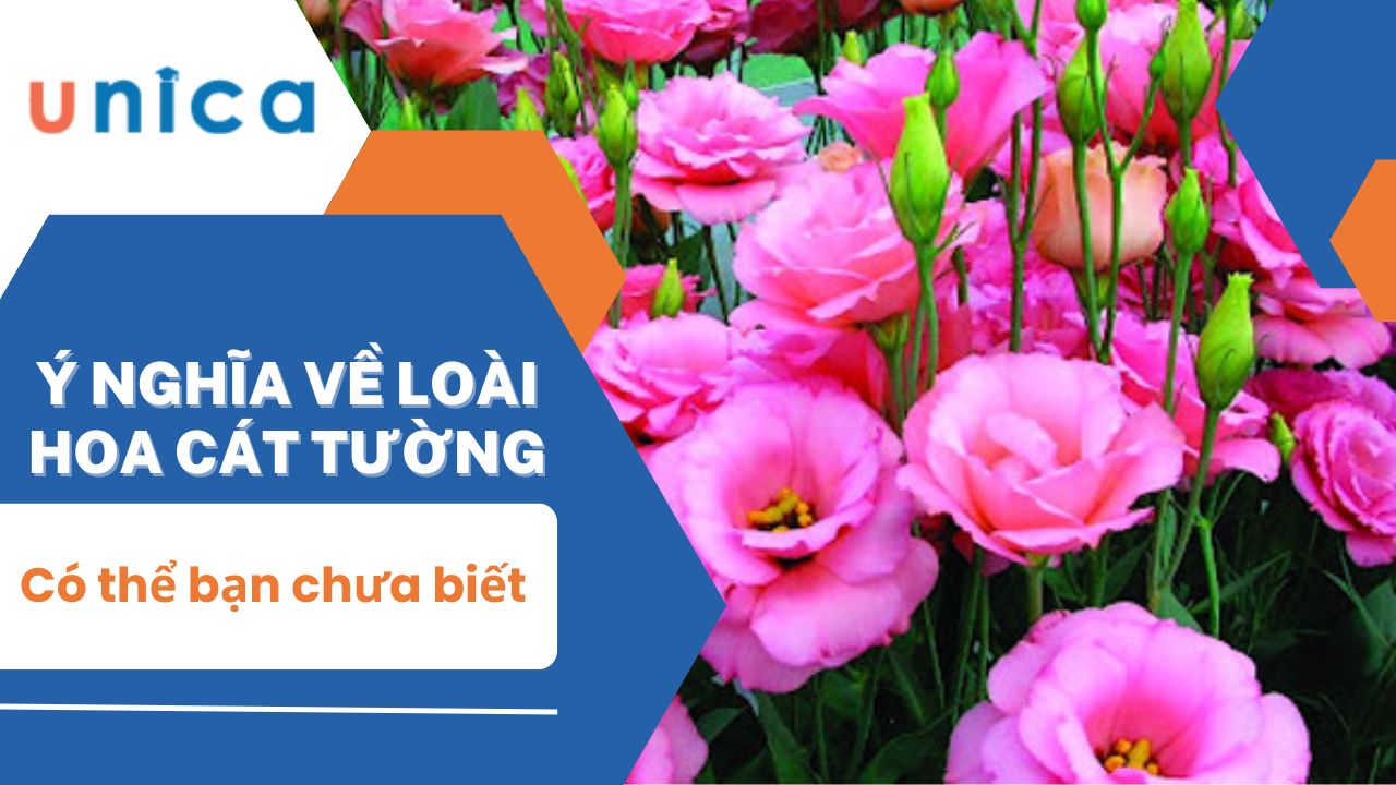 Ý nghĩa về loài hoa cát tường có thể bạn chưa biết