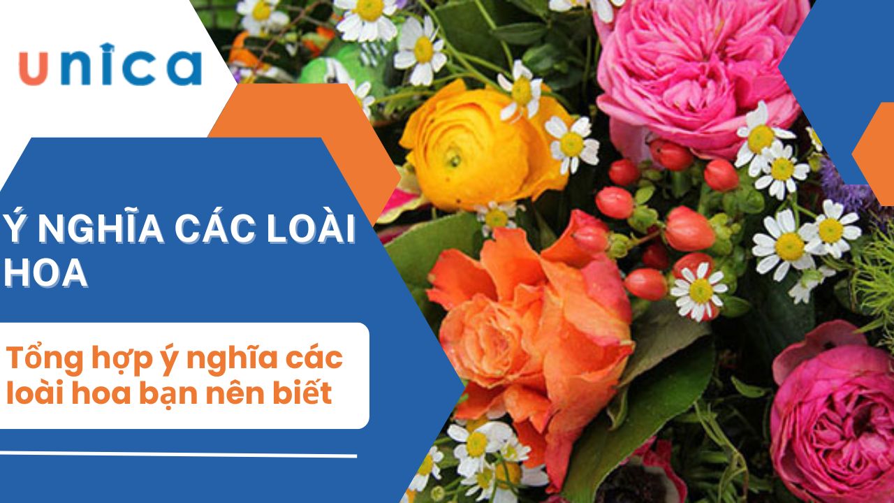 Ý nghĩa của các loài hoa phổ biến bạn đã biết chưa?