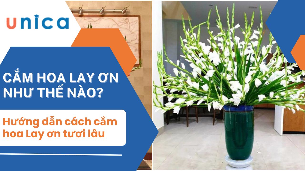 Cách cắm hoa lay ơn tươi lâu và hút tài lộc vào nhà