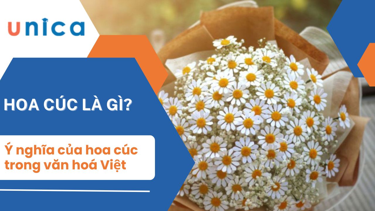 Ý nghĩa của hoa cúc trong văn hóa người Việt