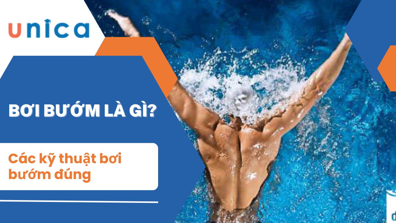 Bơi bướm là gì? Các kỹ thuật bơi bướm đúng bạn cần biết